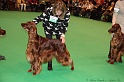 Crufts2011_2 091